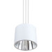 1 Light Pendant