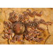 'Placid Reflections of the Sun' Wall Adornment
