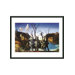 Swans Reflecting Elephants by Dali Framed Print - 11" x 14"