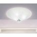 Caorlina Ceiling Light in Sand Blasted White