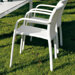 Cafeplaya Dining Chair with Arms by Varaschin R and D