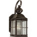 One Light Outdoor Wall Lantern with Clear Seeded Glass in Antique Bronze