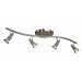 Shuttle Four Light Track Light