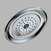 Classic Rain Can Shower Head