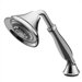 Forte Handshower Holder with Hoses