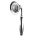 Forte Multifunctional Hand Shower