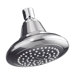 Pinstripe Single-Function Shower Head