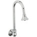 Sink Gooseneck Spout with Rose Spray