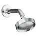 Purist Single-Function Shower with Arm and Flange