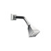 Memoirs Single-function Shower Head with Stately Design