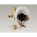Rite-Temp 0.5" Pressure-Balancing Valve with Push-Button Diverter