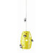 1 Light Pendant
