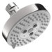 Raindance S 100 3Jet Shower Head