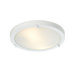 Ancona Maxi Two Light Ceiling Light in White
