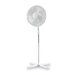 Pedestal Fan