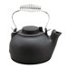 2.5-qt. Cast Iron Tea Kettle