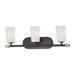 Modern Continental 3 Light Bath Vanity Light