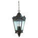 Maguire Hanging Lantern