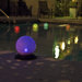 Solar Aquatics Gazing Globe