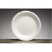 10.25" Celebrity Foam Round Plates in White