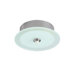 Quick Connect Round Glass Monopoint Canopy with Transformer in Brushed Nickel
