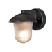 Danbury Compact Fluorescent Twist and Lock  Outdoor Wall Lantern - Energy Star