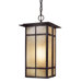 Delancy 1 Light Indoor/Outdoor Chain Hanging Lantern