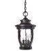 Merrimack 3 Light Hanging Lantern