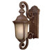 Ardmore  Outdoor Wall Lantern in Vintage Rust - Energy Star