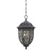Allendale Park 3 Light Indoor/Outdoor Chain Hanging Lantern