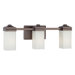 Three Light Bath Vanity in Dark Brushed Bronze