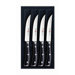 Classic Ikon 4 Piece Steak Set