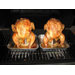 Chicken Beer Roaster