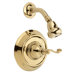 5000 Series Thermostatic Single-Handle Pressure Balance Shower Faucet