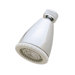 Standard Shower Head without Arm