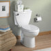 Cadet 3 Right Height Round Front Toilet with 10" Rough in White