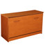 VHZ Storage Single Shoe Cabinet