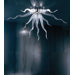 Kapp Wall / Ceiling Light