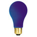 Ceramic A19 Incandescent Bulb