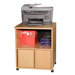 Modular Real Oak Wood Veneer Oak Panel Machine Cart
