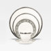 Verano 5 Piece Place Setting with Box