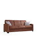 Sleeper Sofa
