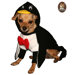 Penguin Hoodie Dog Costume