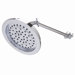 Rain Showerhead with Arm