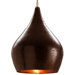 1 Light Pendant