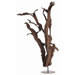Kazu Dragon Tree Floor Sculpture