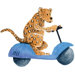 Safari Friends Wall Decal