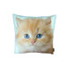 Persian Cat Pillow