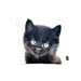 Black Persian Cat Pillow