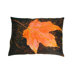 Float Pillow